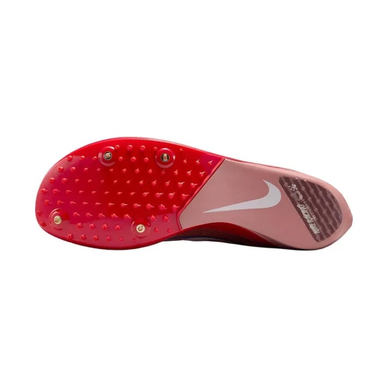 Nike Dragonfly 2 'Red Stardust Red Sepia' Унисекс