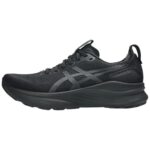 Black/Graphite Grey
