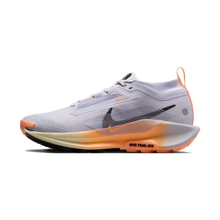 Nike Pegasus Trail 5 GTX 'Ghost Malt Orange Pulse Black' Женские