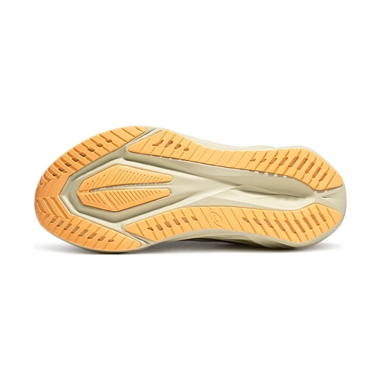 ASICS Novablast 5 'White/Fawn' Мужские