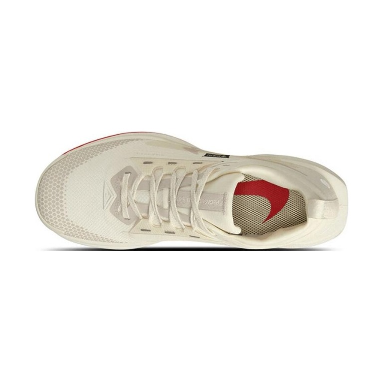 Nike Pegasus Trail 5 GTX 'Sail Picante Red Light Orewood Brown' Женские