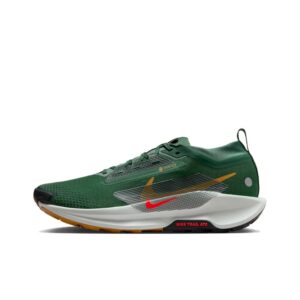 Nike Pegasus Trail 5 GTX 'Fir Clay Green Desert Ochre Bright Crimson' Мужские