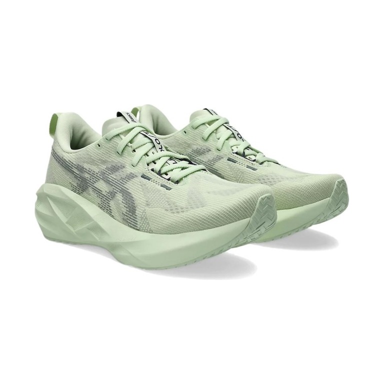 ASICS Novablast 5 'Whisper Green/Monument Blue' Женские
