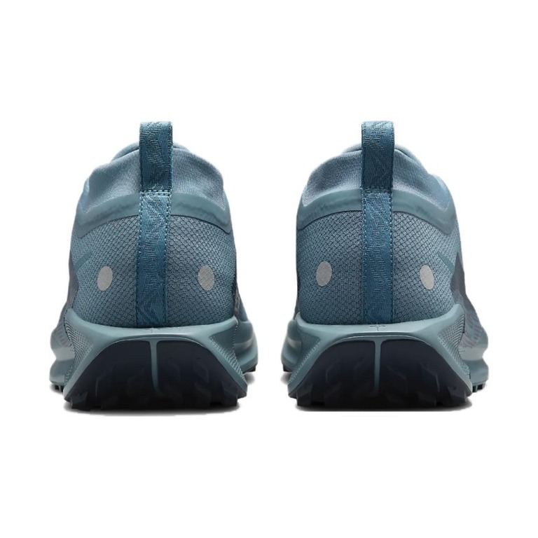 Nike Pegasus Trail 5 GTX 'Smokey Blue Light Silver Armory Navy' Мужские