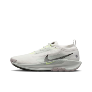 Nike Pegasus Trail 5 GTX 'Summit White Light Silver College Grey Sequoia' Мужские