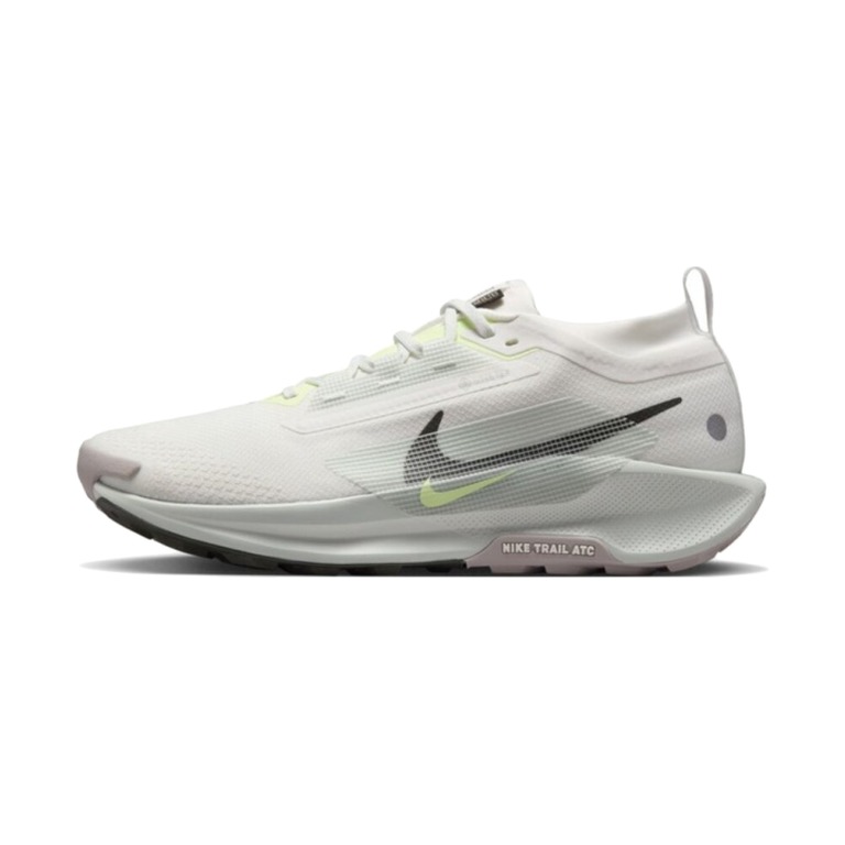 Nike Pegasus Trail 5 GTX 'Summit White Light Silver College Grey Sequoia' Мужские