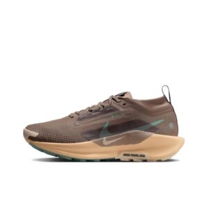 Nike Pegasus Trail 5 GTX 'Mink Brown Orange Chalk Pearl White Cannon' Женские