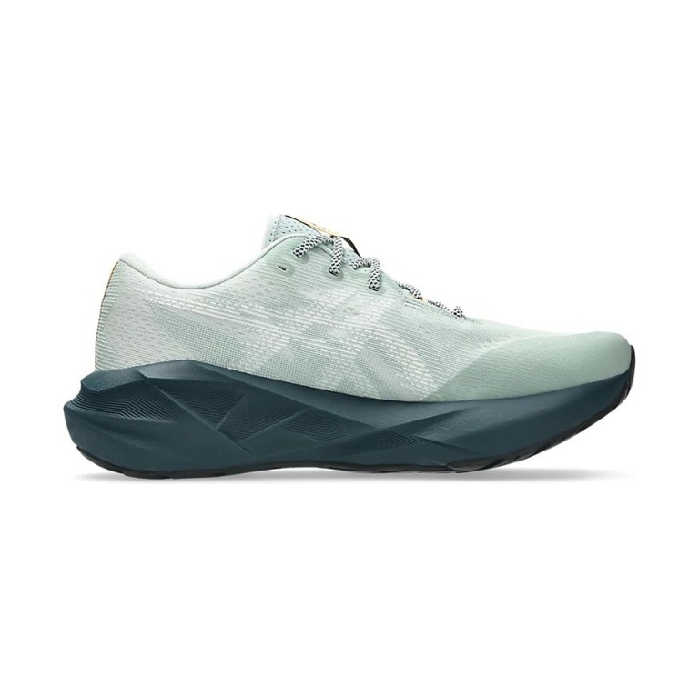 ASICS Novablast 5 'Nature Bathing/Lichen Rock' Мужские