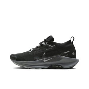 Nike Pegasus Trail 5 GTX 'Black Cool Grey Anthracite Wolf Grey' Женские