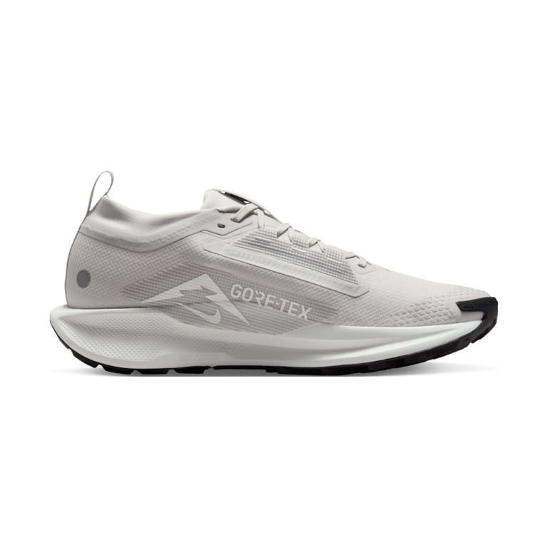 Nike Pegasus Trail 5 GTX 'Vast Grey Summit White Black Sanddrift' Мужские