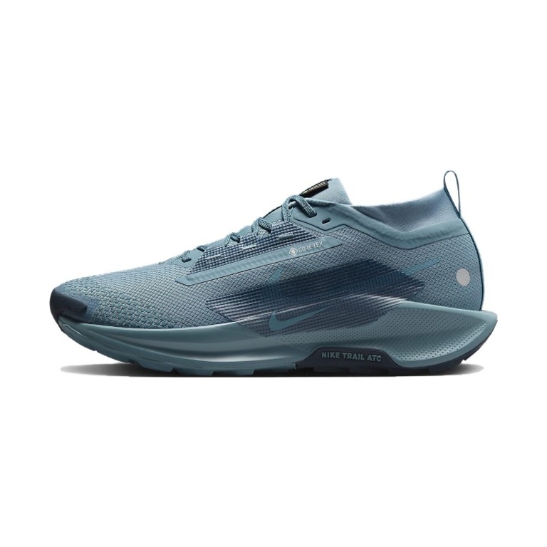 Nike Pegasus Trail 5 GTX 'Smokey Blue Light Silver Armory Navy' Мужские