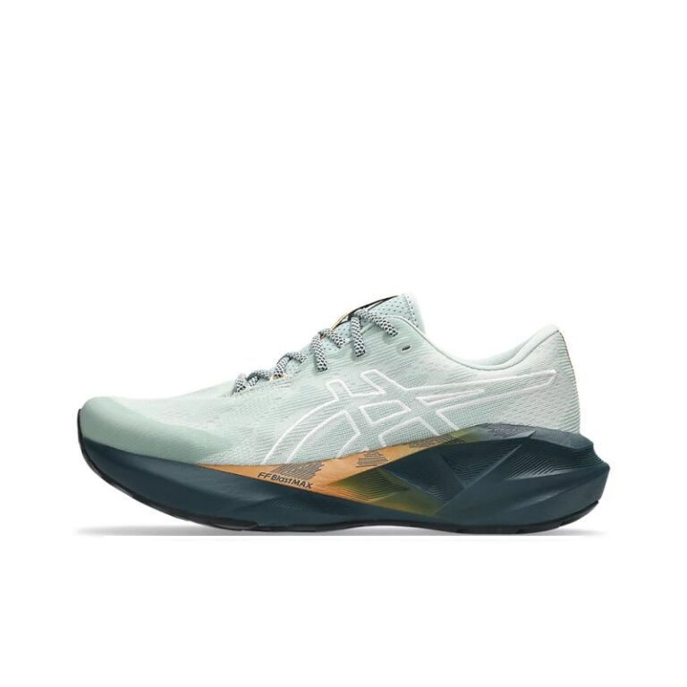 ASICS Novablast 5 'Nature Bathing/Lichen Rock' Мужские