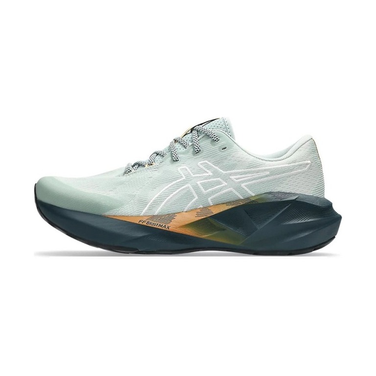 ASICS Novablast 5 'Nature Bathing/Lichen Rock' Мужские