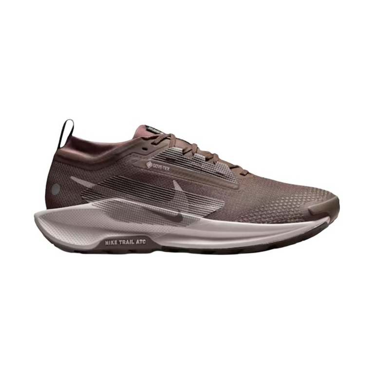Nike Pegasus Trail 5 GTX 'Ironstone / Velvet Brown / Cave Stone / College Grey' Мужские