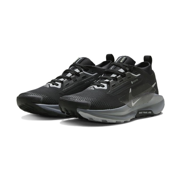 Nike Pegasus Trail 5 GTX 'Black Cool Grey Anthracite Wolf Grey' Женские