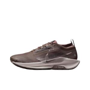 Nike Pegasus Trail 5 GTX 'Ironstone College Grey Velvet Brown' Мужские