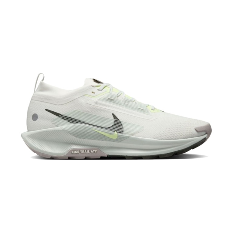 Nike Pegasus Trail 5 GTX 'Summit White Light Silver College Grey Sequoia' Мужские
