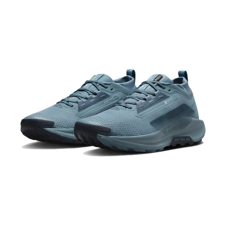 Nike Pegasus Trail 5 GTX 'Smokey Blue Light Silver Armory Navy' Мужские
