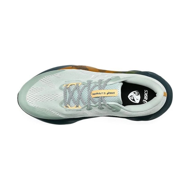 ASICS Novablast 5 'Nature Bathing/Lichen Rock' Мужские