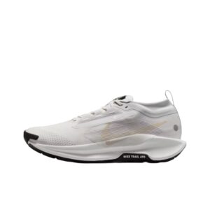 Nike Pegasus Trail 5 GTX 'Vast Grey Summit White Black Sanddrift' Мужские
