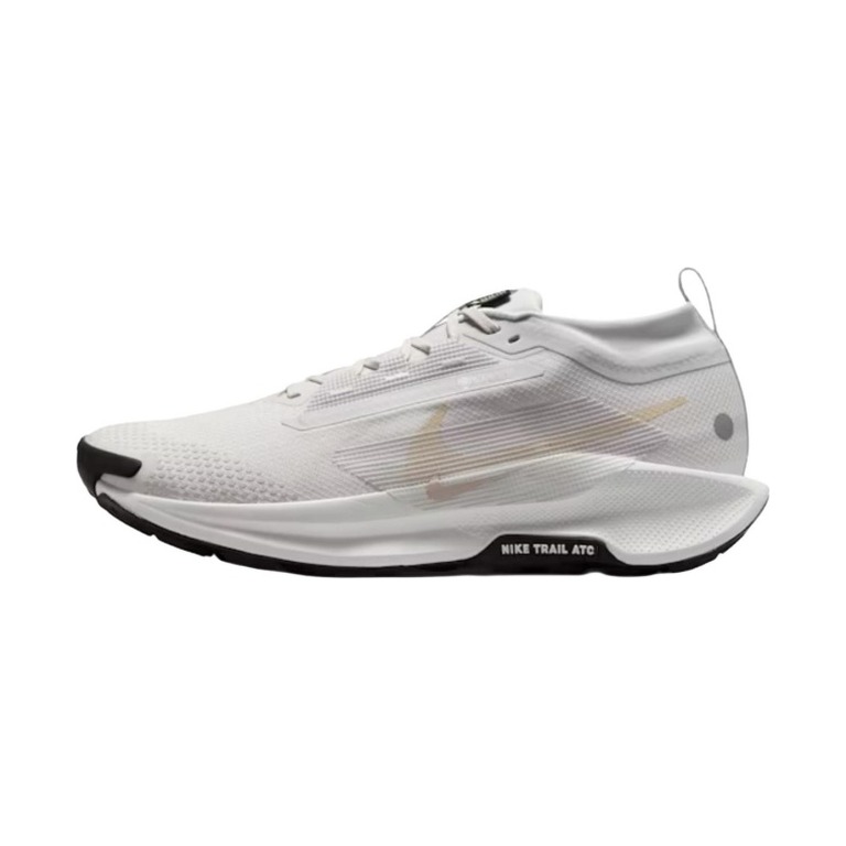 Nike Pegasus Trail 5 GTX 'Vast Grey Summit White Black Sanddrift' Мужские