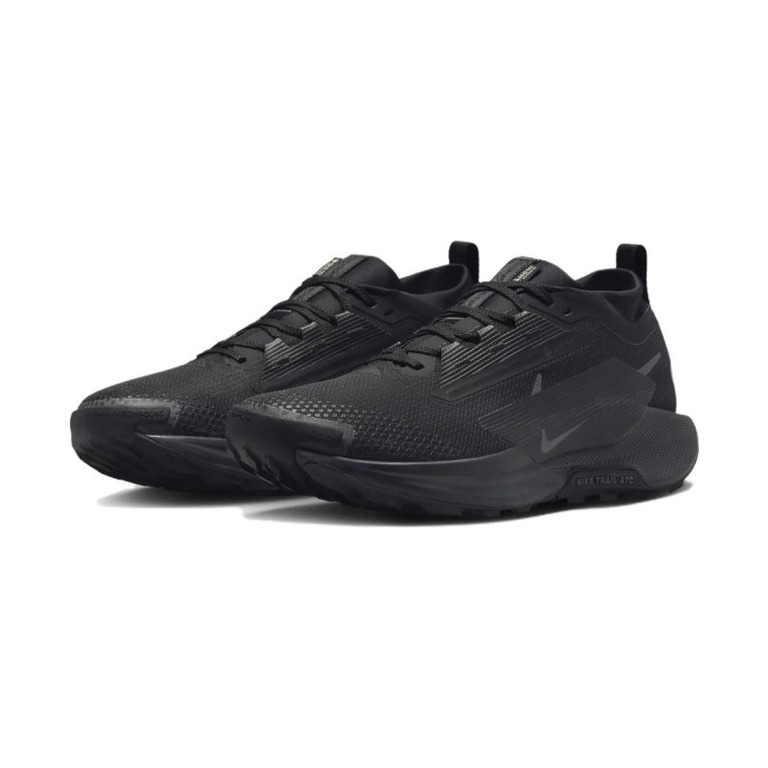 Nike Pegasus Trail 5 GTX 'Black Anthracite Black' Мужские