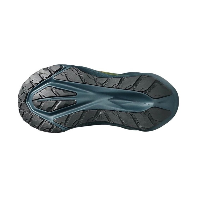 ASICS Novablast 5 'Nature Bathing/Lichen Rock' Мужские