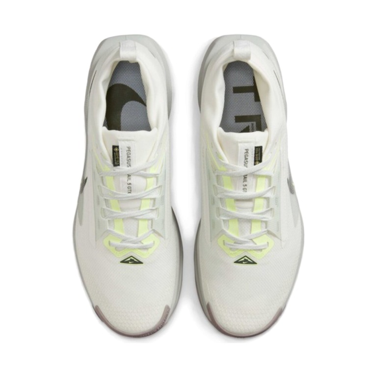 Nike Pegasus Trail 5 GTX 'Summit White Light Silver College Grey Sequoia' Мужские