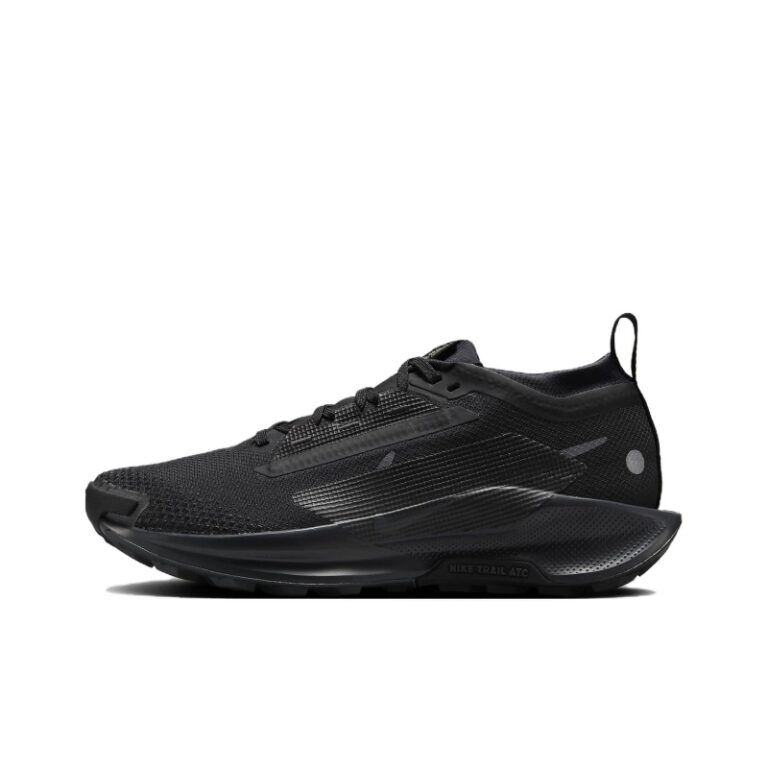 Nike Pegasus Trail 5 GTX 'Black Anthracite Black' Женские