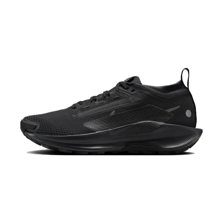 Nike Pegasus Trail 5 GTX 'Black Anthracite Black' Женские