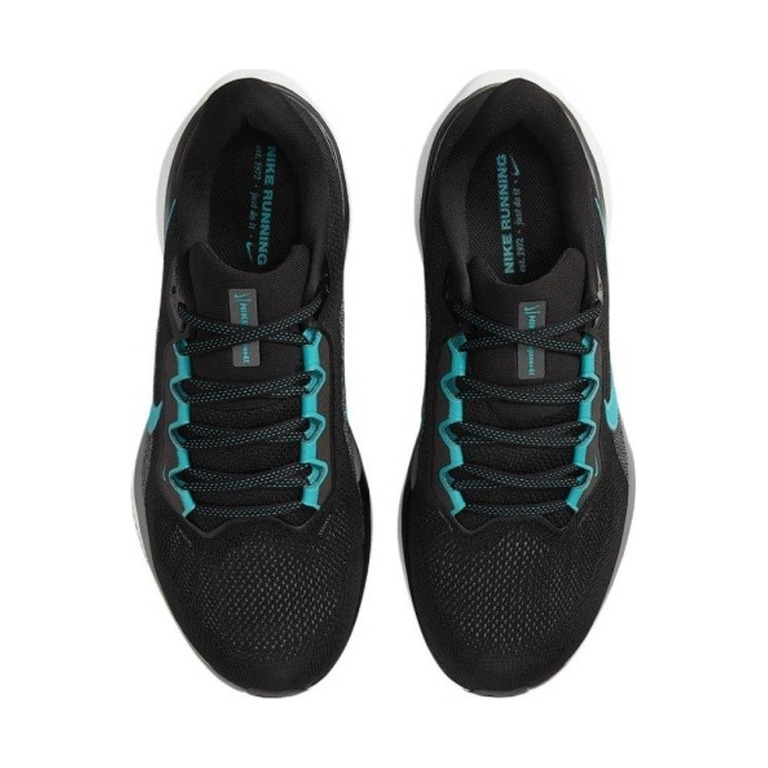 Nike Pegasus 41 'Black Cool Grey White Dusty Cactus' Мужские