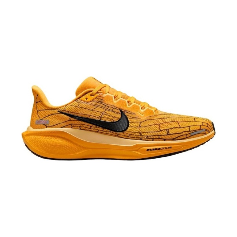 Nike Pegasus 41 'Zoom Modern Mayfly' Мужские