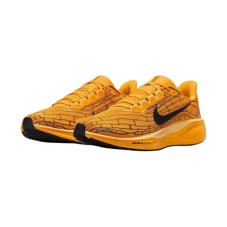 Nike Pegasus 41 'Zoom Modern Mayfly' Мужские