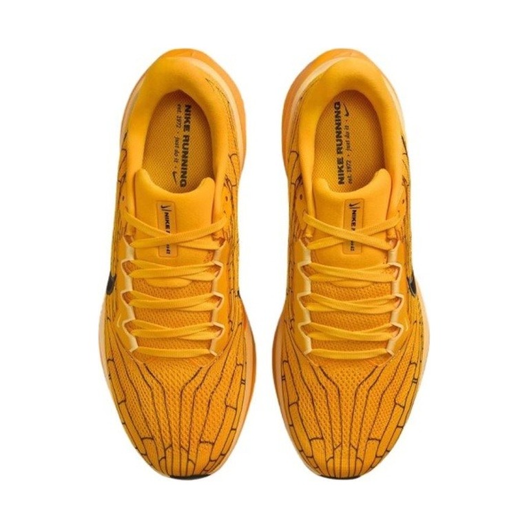 Nike Pegasus 41 'Zoom Modern Mayfly' Мужские