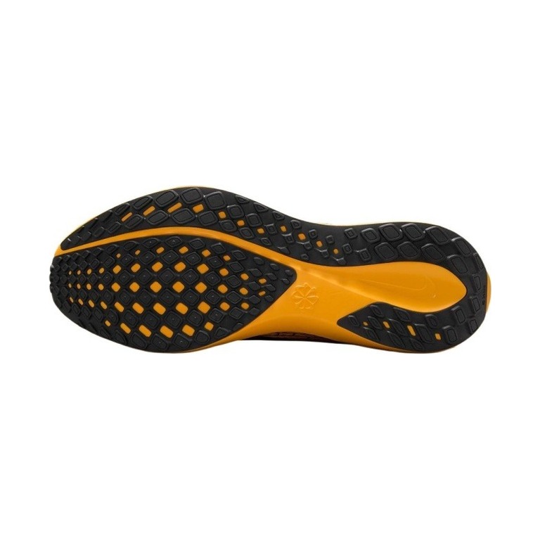 Nike Pegasus 41 'Zoom Modern Mayfly' Мужские