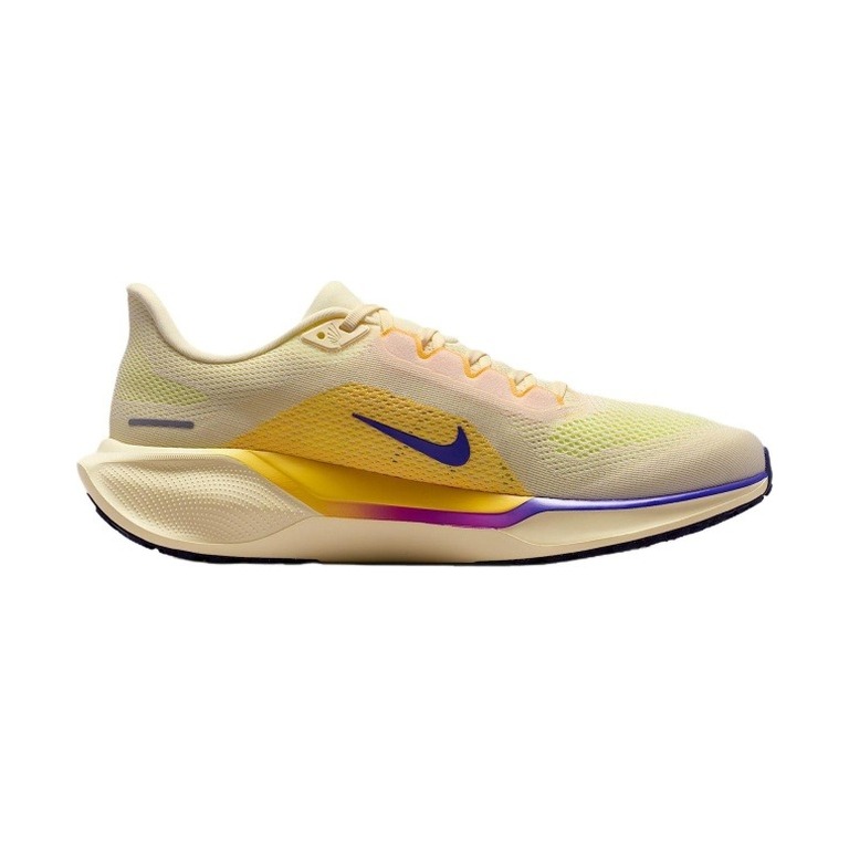 Nike Pegasus 41 'Black / Summit White' Мужские