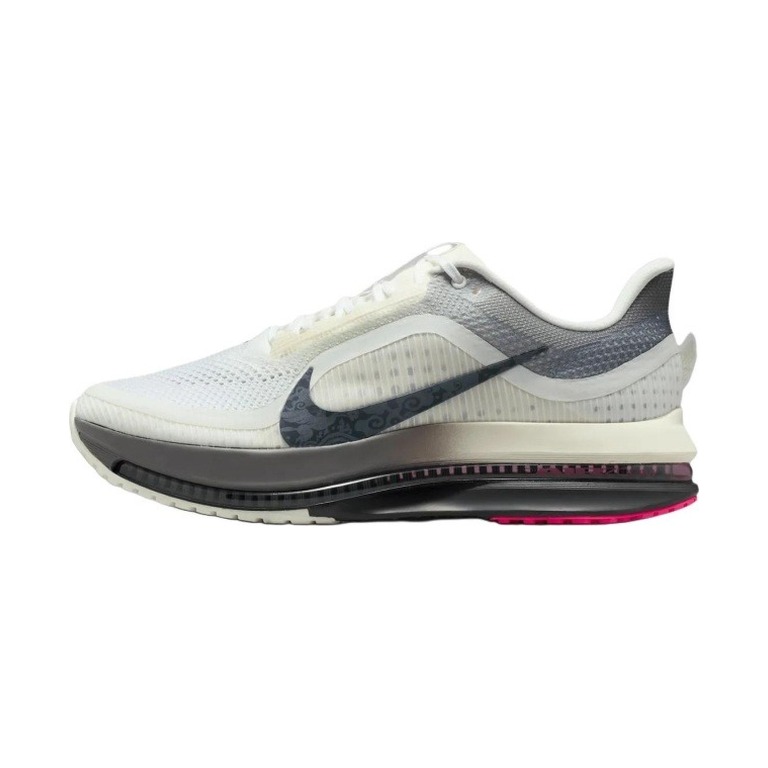 Nike Pegasus Premium 'White / Blue Tint / Pure Platinum / Chrome' Мужские