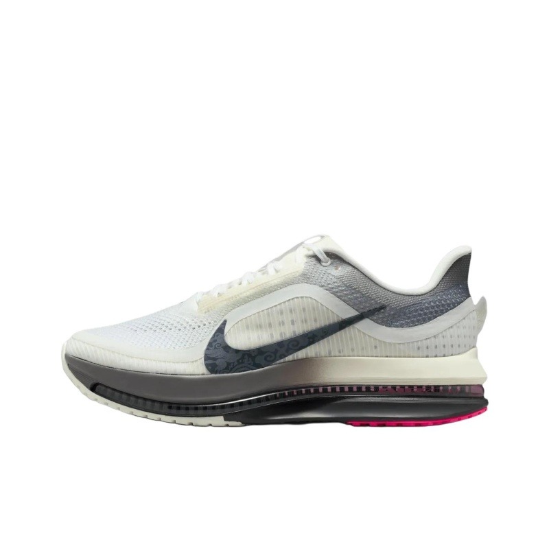 Nike Pegasus Premium 'Beige Grey' Мужские