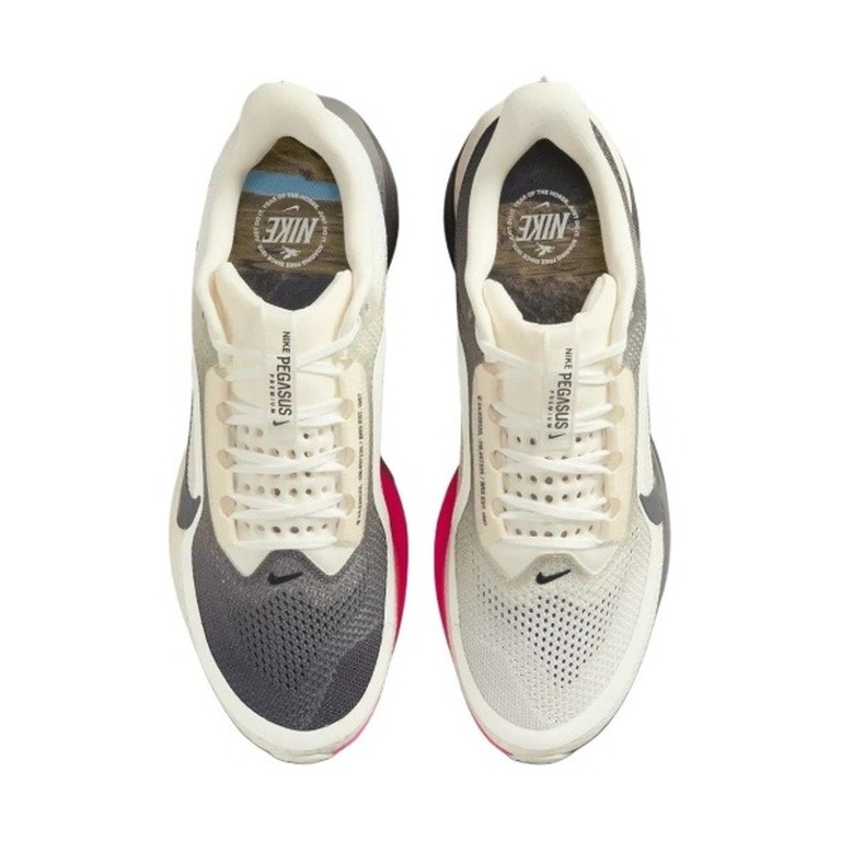 Nike Pegasus Premium 'White / Blue Tint / Pure Platinum / Chrome' Мужские