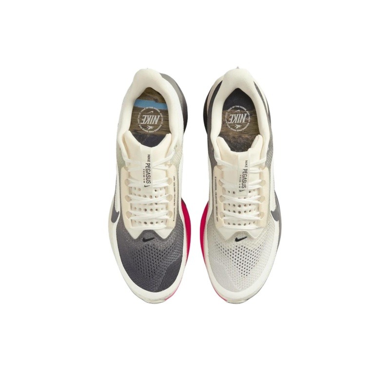Nike Pegasus Premium 'Beige Grey' Мужские