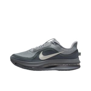 Nike Pegasus Premium 'Wolf Grey Cool Grey Anthracite Sail' Мужские