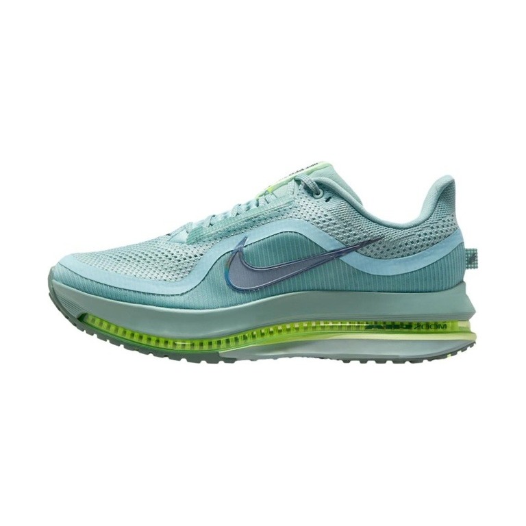 Nike Pegasus Premium 'Cannon' Мужские