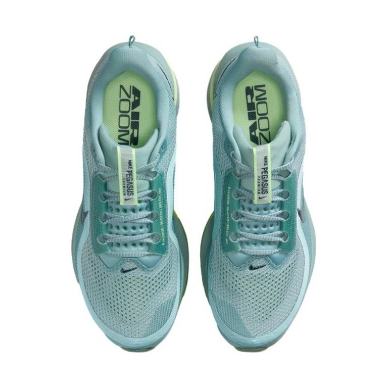 Nike Pegasus Premium 'Cannon' Мужские