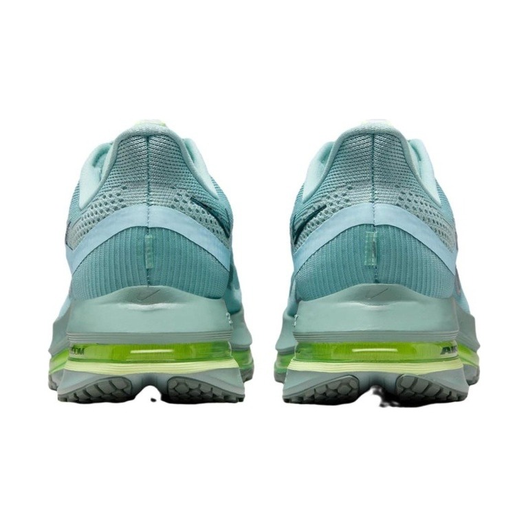 Nike Pegasus Premium 'Cannon' Мужские