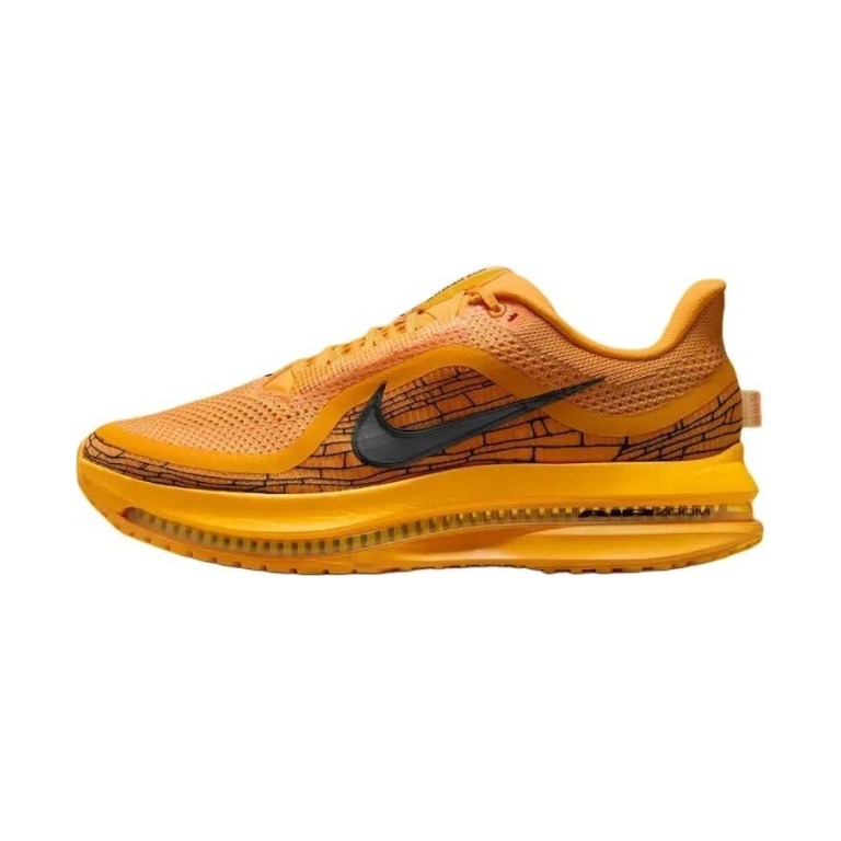 Nike Pegasus Premium 'Zoom Modern Mayfly' Мужские