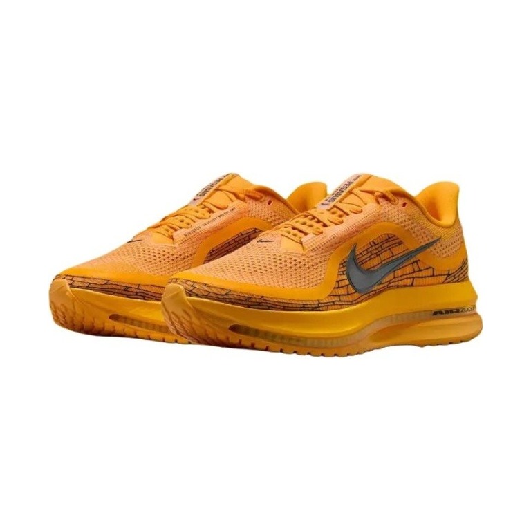 Nike Pegasus Premium 'Zoom Modern Mayfly' Мужские
