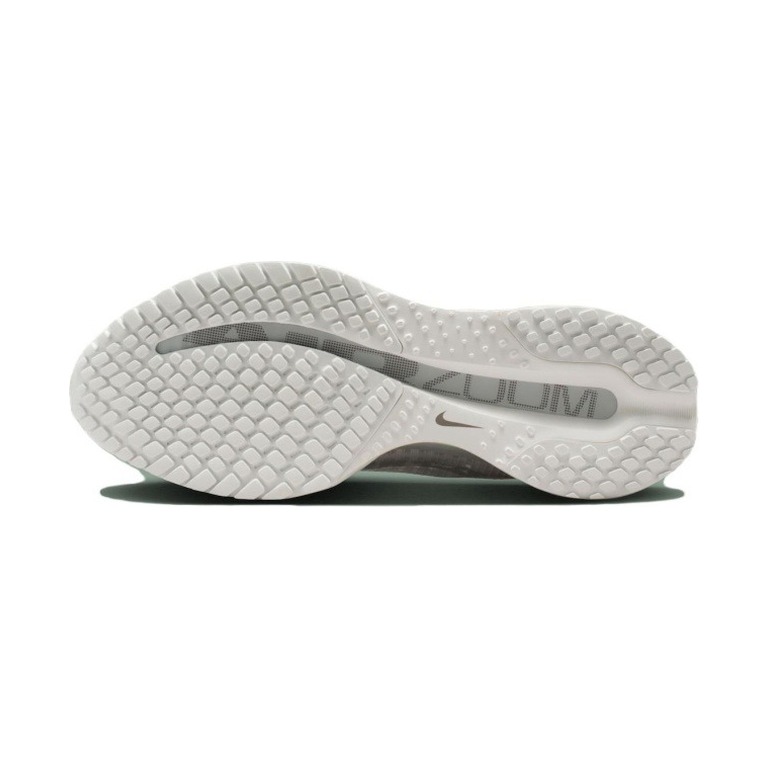 Nike Pegasus Premium 'Peak White Pure Platinum' Женские