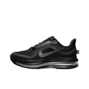 Nike Pegasus Premium 'Black Metallic Silver Black' Женские