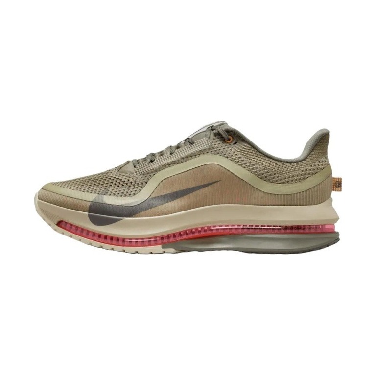 Nike Pegasus Premium 'Running Poets' Мужские