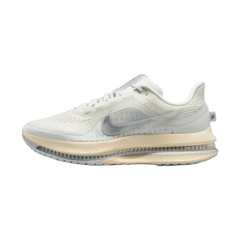 Nike Pegasus Premium 'Platinum Tint / Grey Fog / Iron Grey / Reflect Silver' Мужские